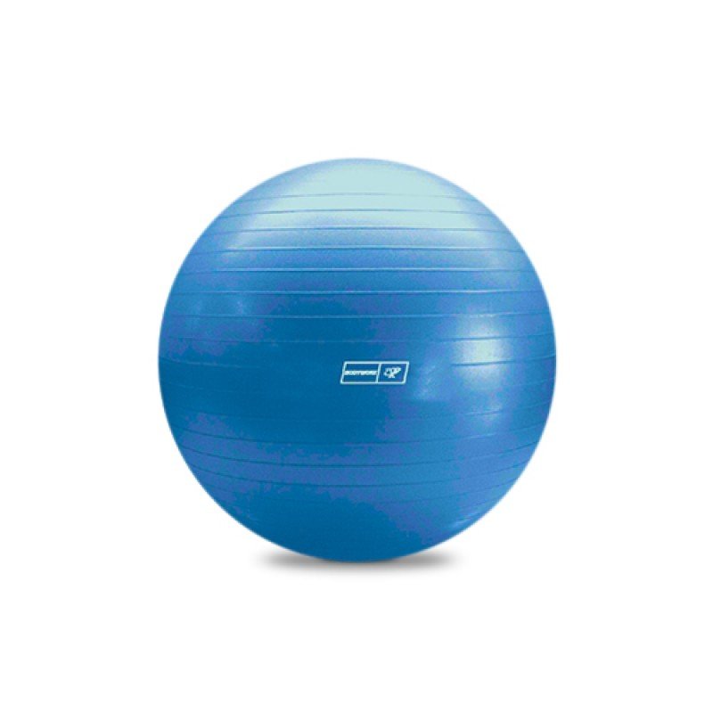 Bodyworx Blue Gym Ball (65cm)