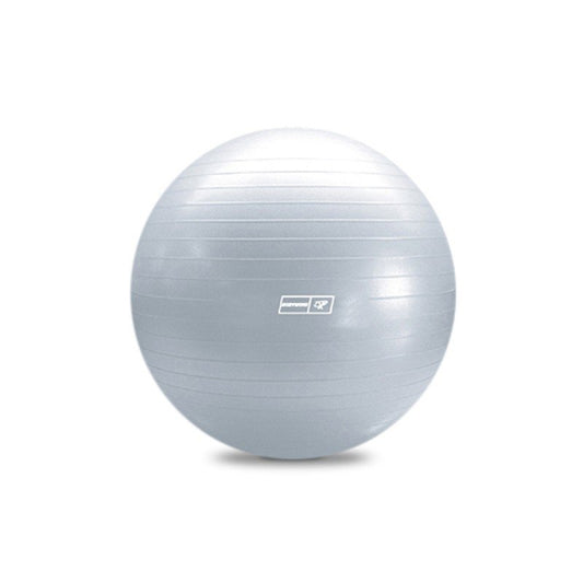 Bodyworx Silver Gym Ball (75cm)